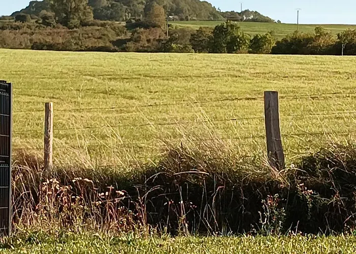 Aux Pieds De La Colline De Mousson * 蓬塔穆松
